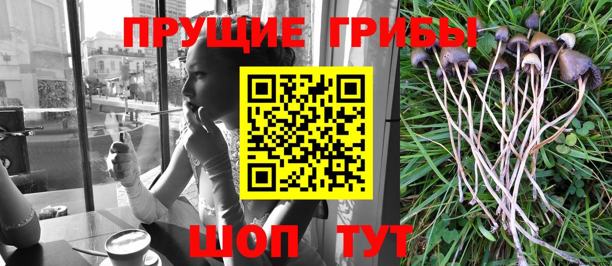 Галлюциногенные грибы Psilocybine cubensis  Вход с VPN  Киреевск 